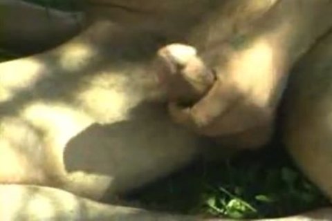 Turkish daddy Fux twink