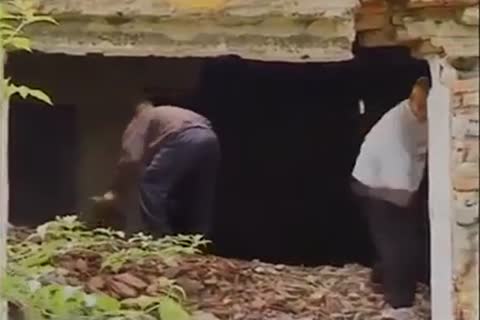 threesome teen orgy On The Farm