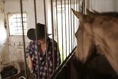 concupiscent chaps bone In Farm