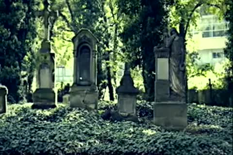 tied The lad From The Cemetery