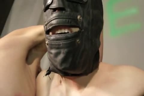 bdsm bondage twink Whipped, Waxed, Milked