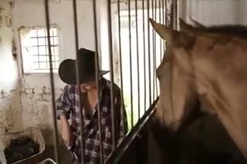 lewd boyz bang In The Farm