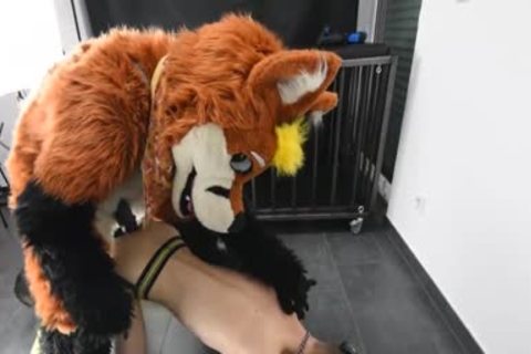 Puppy receives drilled By Fursuit With  sex tool