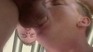 Falcon Icons: The 1990's: Falcon Frenzy