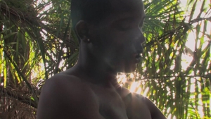 Sun-Kissed Beaches, Hard Rides